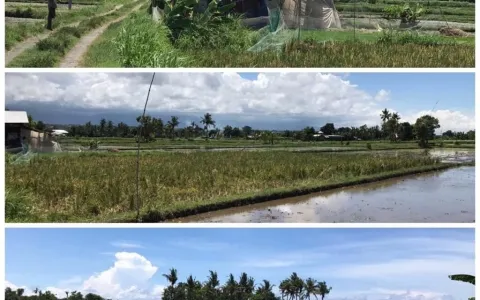 Tanah dijual daerah Buleleng, Singaraja 02101