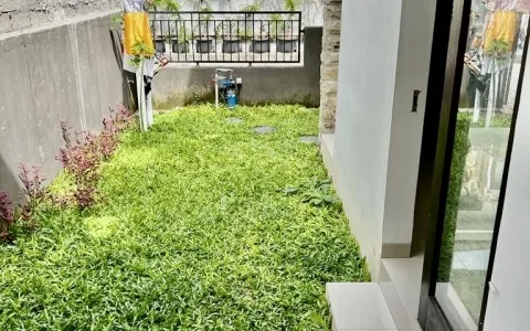Rumah disewakan daerah Panjer A602