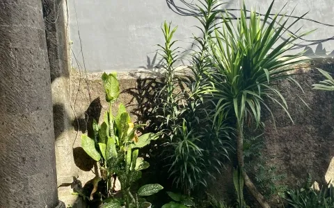 Dijual cepat rumah daerah Denpasar Utara, Padang Sambian f223