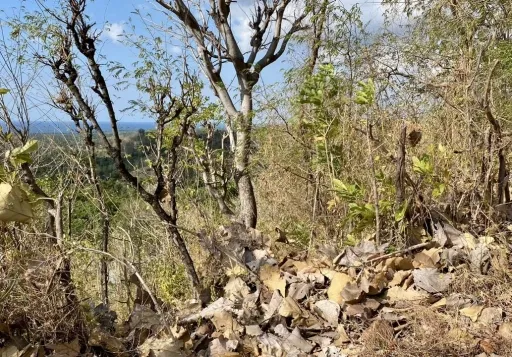 Dijual cepat tanah daerah singaraja, Buleleng f319