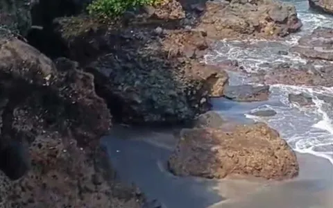 Dijual tanah los pantai Tabanan