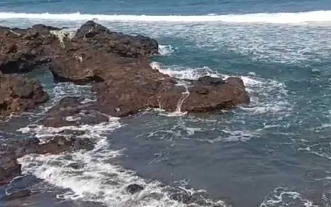 Dijual tanah los pantai Tabanan