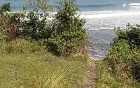 Dijual tanah los pantai Tabanan