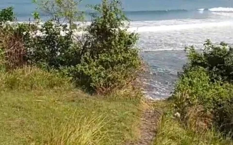 Dijual tanah los pantai Tabanan