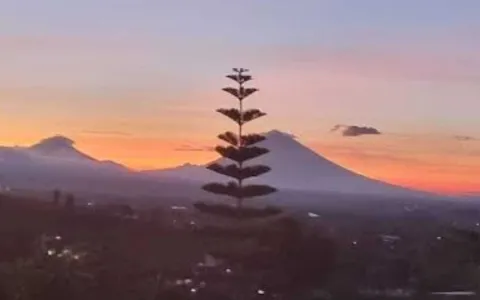 Dijual Lahan Cantik di Desa Pancasari