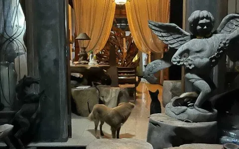 Rumah di sewakan daerah Kerobokan