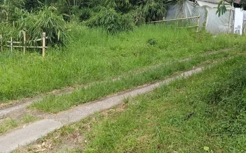 Dijual Lahan Cantik di Desa Pancasari