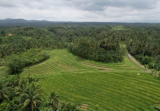 Dijual tanah daerah canggu