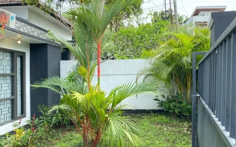 Villa cantik for rent daerah Nusa dua