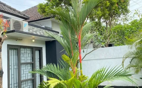 Villa cantik for rent daerah Nusa dua